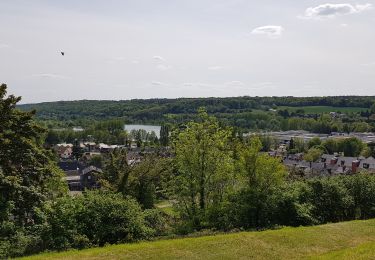 Trail Walking Brionne - 20190516-Le Tour de Brionne - Photo