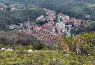 Tour Zu Fuß Campomorone - Isoverde (Acquedotto Galliera) - Passo Prato Leone - Photo