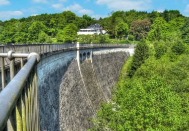 Tocht Te voet Halver - Glörtalsperre Rundweg A1 - Photo