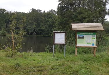 Tour Wandern Bussy-en-Othe - Bussy en Othe 210725 - Photo