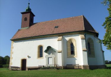 Percorso A piedi Gemeinde Kirchschlag - Schlagmichlweg (Rundwanderweg) - Photo