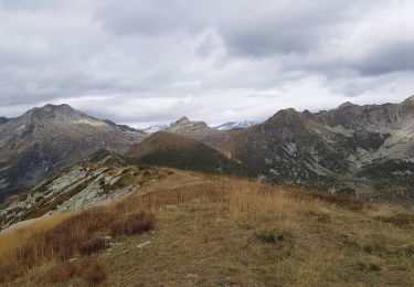 Tour Zu Fuß Crevoladossola - A07 - Preglia - Cima Lariè - Photo