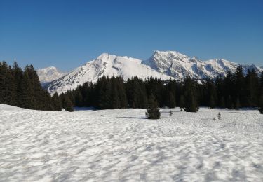 Randonnée Raquettes à neige Manigod - manigot - Photo