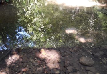 Tour Wandern Saint-Siméon - Saint Siméon- Gués et Chapelle Saint Firmin - Photo