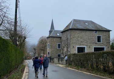 Tour Wandern Daverdisse - Daverdisse  - Photo
