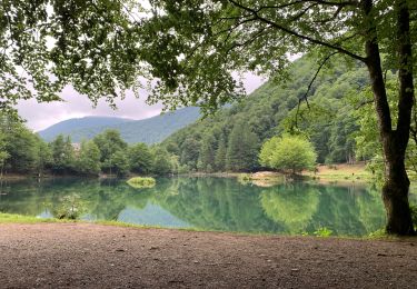 Trail Walking Bethmale - Col de la core  - Photo