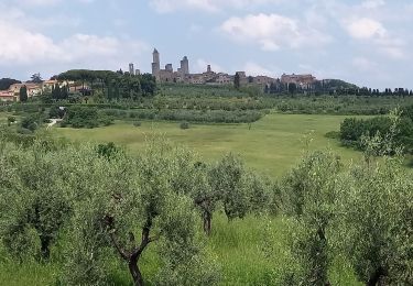 Tocht Stappen San Gimignano - Pancolle / Colle val.d'Elsa - Photo