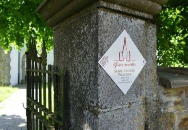 Tour Wandern Tenneville - Tenneville - Promenade de la vieille église (13) - Photo