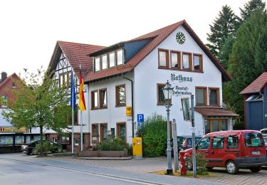 Percorso A piedi Grasellenbach - Rundwanderweg Wahlen 1: Hammelberg Weg - Photo