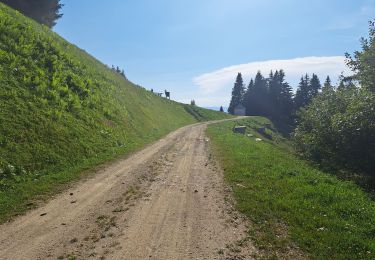 Tocht Stappen Presle - Le chapotet au départ de Prodin - Photo