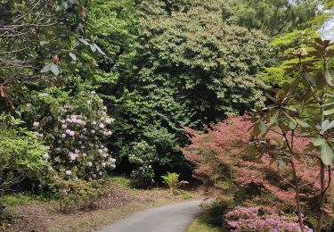 Tocht Stappen  - Visite du VILLAGE de Portmeirion  - Photo