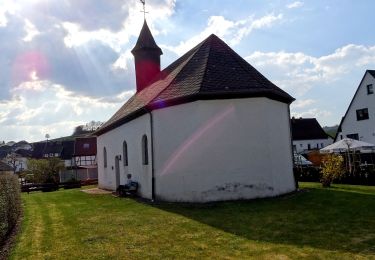 Randonnée A pied Eslohe - Berge Rundweg B7 - Photo