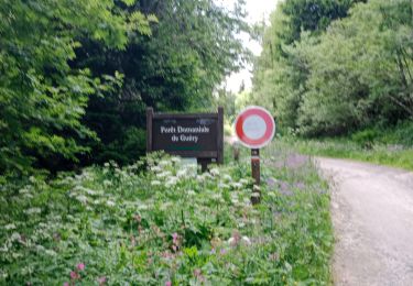 Excursión Marcha nórdica Murat-le-Quaire - départ de la Bourboule le Puy gros le lac guercy guéry retour par le Mont-Dore - Photo