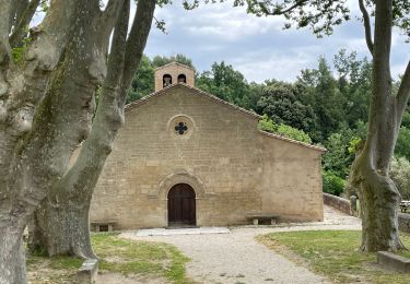 Trail Walking Vaugines - PF-Vaugines - Cucuron - l'Ermitage - Vaugines - 17.06.2021 - Photo