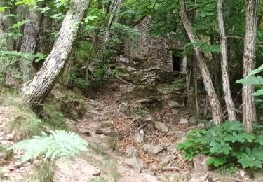 Tour Wandern Val-d'Aigoual - Cascade d'Orgon-15-06-22 - Photo