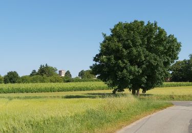 Excursión Bici eléctrica Cravans - Cravans-Les Epeaux - Photo