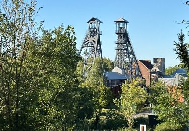 Tocht Stappen Charleroi - Bois du Cazier 26,6 km - Photo
