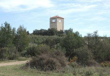 Randonnée Marche La Fare-les-Oliviers - PF-La Fare-les-Oliviers - R - Variante - Photo