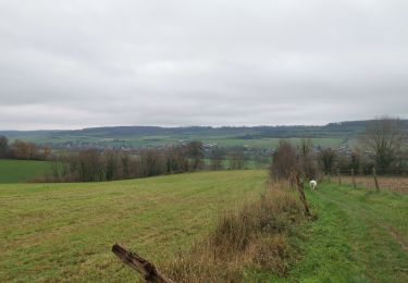 Randonnée Marche Meulers - meulers bois de Pimont freuleville - Photo