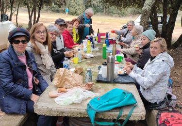 Trail Walking Fons-sur-Lussan - LA LEQUE -  FONS SUR LUSSAN - Photo