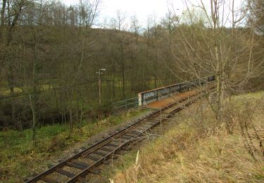 Tour Zu Fuß Svojšice - [M] Bošice - Vrbčany - Photo