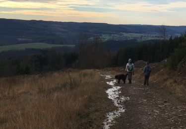 Tocht Stappen Stoumont - Stoumont - Balade 15 - Guide de l'Ardenne du Nord - Photo