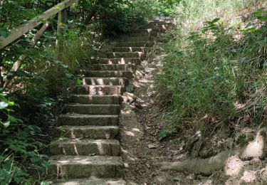 Trail Walking Plombières - Site minier de Plombières 🌿 - Photo