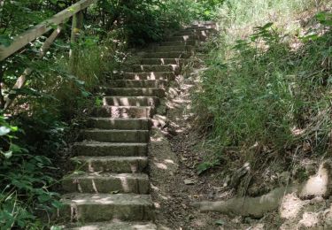 Randonnée Marche Plombières - Site minier de Plombières 🌿 - Photo