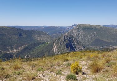 Tour Wandern Castellane - aza - Photo