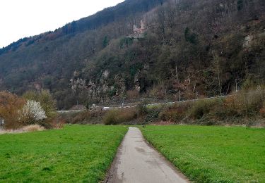 Tour Zu Fuß Neckarsteinach - Rundwanderweg Neckarsteinach Unter den 4 Burgen 2: Brunnenberg-Weg - Photo