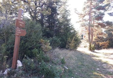 Tour Wandern Andon - Pont du loup, Andon Castellaras - Photo