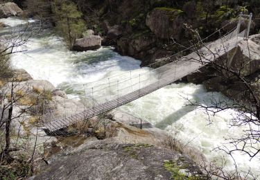 Tocht Stappen Prévenchères -  Gorges de Chassezac - Photo