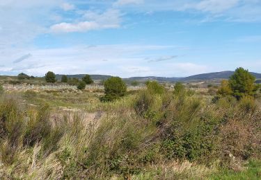 Trail Walking Pouzols-Minervois - POUZOLS MINERVOIS - les éoliennes - Photo