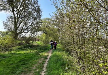 Randonnée Marche Huy - Les bois de Ben-Ahin - Photo