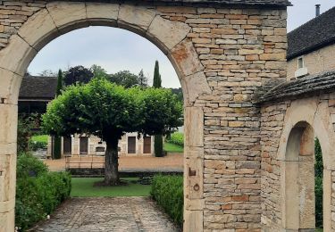 Tour Wandern Meursault - Huttopia - Meursault - Photo