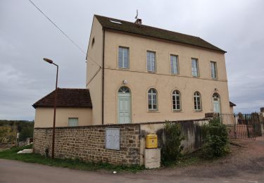 Percorso A piedi Villeneuve-sous-Charigny - Le Sentier des Oiseaux - Photo