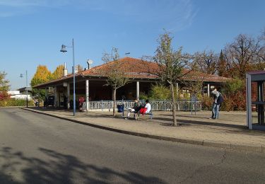 Tocht Te voet Wildberg - DE-SWV Blaue Raute, Ehningen - Gültlingen - Photo