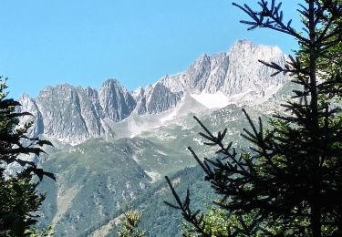 Trail On foot La Léchère - 15352545-Randonnée 6: Valmorel  - Photo