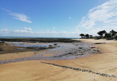 Tour Hybrid-Bike Noirmoutier-en-l'Île - Noirmoutier Velo - Photo