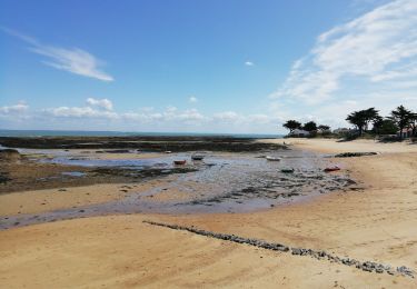 Trail Hybrid bike Noirmoutier-en-l'Île - Noirmoutier Velo - Photo