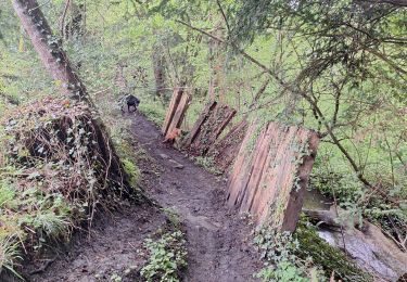 Trail Walking Les Monceaux - les Monceaux  - Photo