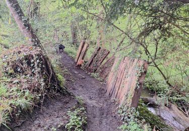 Tocht Stappen Les Monceaux - les Monceaux  - Photo