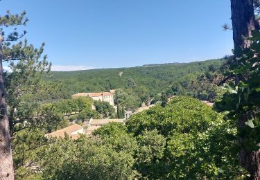 Tour Wandern Réauville - Reauville-Le Fraysse-Aiguebelle 16km - Photo