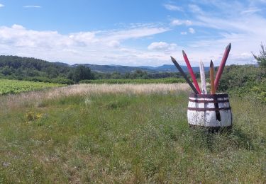 Percorso Marcia Mormoiron - Rand'Ocres et Salettes - Photo