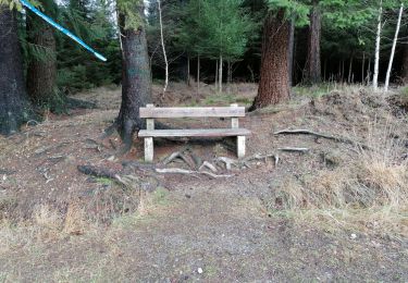 Tour Wandern Jalhay - Bois du sud de Solwaster - Photo