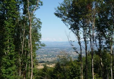 Tour Mountainbike Mably - Activité l'après-midi - Photo