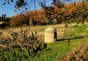 Trail Walking Le Revest-les-Eaux - Boucle Ripelle - Mont Combes - Tourris - Ripelle - Photo