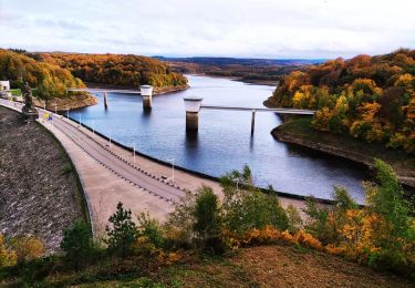 Tour Wandern Jalhay - Promenade du Grand Lys  - Photo