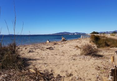 Excursión Senderismo Hyères - AR Les Salins - La Londe - Photo