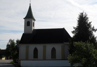 Tour Zu Fuß Gemeinde Natschbach-Loipersbach - Rundwanderwege Natschbach - Loipersbach - Lindgrub L1 - Photo